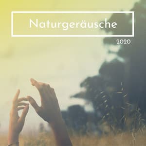 Naturgeräusche 2020: Regengeräusche, Gewittergeräusch sturmgeräusche, Meeresrauschen und Regenwald Sound - Entspannungsmusik Spa