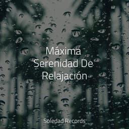 Máxima Serenidad De Relajación - Dormir