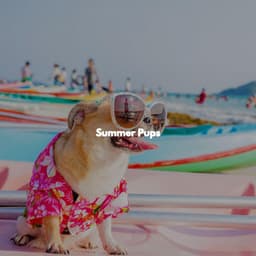 Summer Pups - Java Jazz Cafe