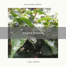 2021 Instant Dreams - The Noise Project