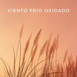Viento Frío Oxidado - Cuatro Vientos