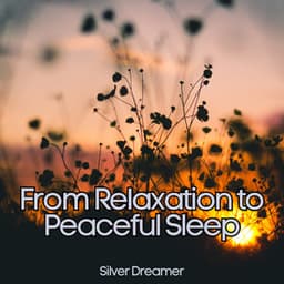 From Relaxation to Peaceful Sleep - Best Therapy to Fight Insomnia - Silver Dreamer