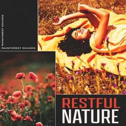 Restful Nature - Rainforest Sounds