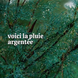 Voici La Pluie Argentée - Hi-Def FX