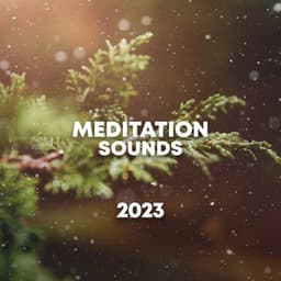Meditation Sounds 2023 - Spa Music