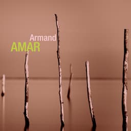 Retrospective - Armand Amar