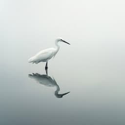 Aves En El Arroyo Binaural: Se Despliegan Los Ritmos De La Naturaleza - 80 88 Hz - Frecuencias de tierra y frecuencias de 432 Hz