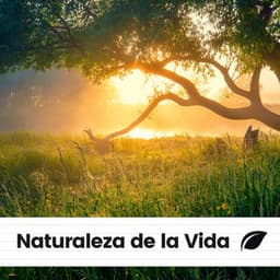 Naturaleza de la Vida - Sonidos de la Naturaleza para Dormir