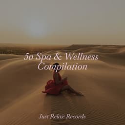 50 Spa & Wellness Compilation - Sonidos De Lluvia y Tormentas