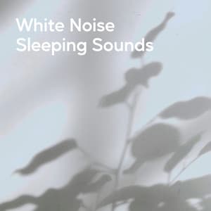 White Noise Sleeping Sounds - Noises Of Ambience