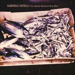 The World Behind the Skin - Gabriele Mitelli