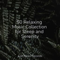 50 Relaxing Music Collection for Sleep and Serenity - Relaxing Music