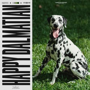 Happy Dalmatian - Pet Therapy