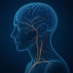 Cura do Sistema Nervoso - Academia de Relaxamento Espiritual