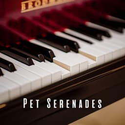 Pet Serenades: Piano Melodies - Piano Animal