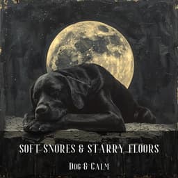 Soft Snores & Starry Floors - Dog & Calm