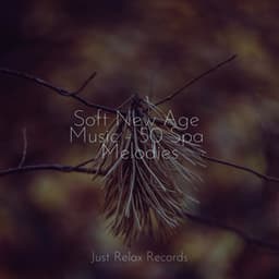 Soft New Age Music - 50 Spa Melodies - Relaxamento