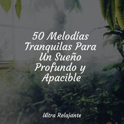 50 Melodías Tranquilas Para Un Sueño Profundo y Apacible - Dulces Sueños