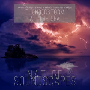 Thunderstorm at the Sea - Nature Soundscapes