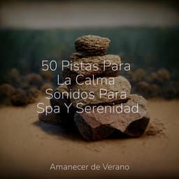 50 Pistas Para La Calma Sonidos Para Spa Y Serenidad - Masajes Spas