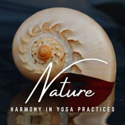 Mountain Asana Magic: Yoga at Altitude - World Music For The New Age