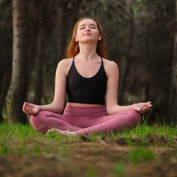 Meditation Harmony in Twilight: Insect Serenade with Peaceful Nature - The Meditations