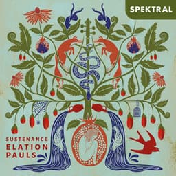 Sustenance - Violin Music from Canada - Instrumental