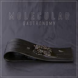 Molecular Gastronomy: Best Restaurant Instrumental Background Music - Restaurant Jazz Music Collection