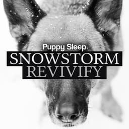 Snowstorm Revivify - Puppy Sleep