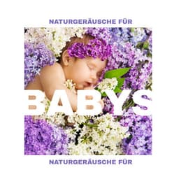 Naturgeräusche für Babys - Beruhigende Schlaflieder bei Nacht, Naturmusik für Kinder - Ruhigen Schlaf Akademie