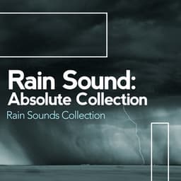 Rain Sound: Absolute Collection - Rain Sounds Collection