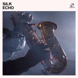 Silk Echo: Soft Jazz Music - Jazz Music Collection