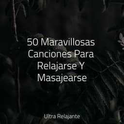 50 Maravillosas Canciones Para Relajarse Y Masajearse - Unidad de música zen relajante