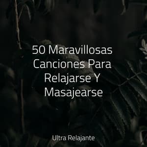 50 Maravillosas Canciones Para Relajarse Y Masajearse - Unidad de música zen relajante