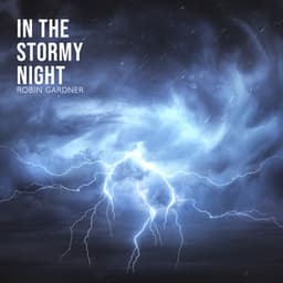 In the Stormy Night - Robin Gardner
