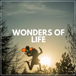 Wonders of Life - Zen Arena