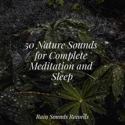 50 Nature Sounds for Complete Meditation and Sleep - Rain Sound Studio