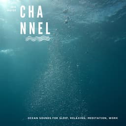 Ocean Sounds for Sleep, Relaxing, Meditation, Work - Sea Noise Channel