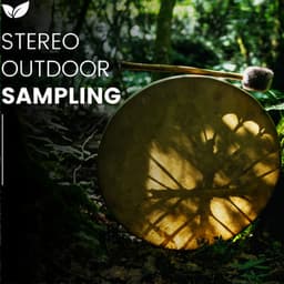 Pristine Wilderness Binaural Stereo Field Audio - rainstantly