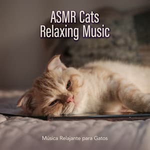 ASMR Cats Relaxing Music - Música Relajante para Gatos