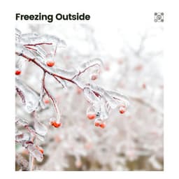 Freezing Outside - Rainforest Ambience