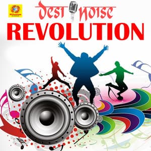 Desi Noise Revolution - Shaan