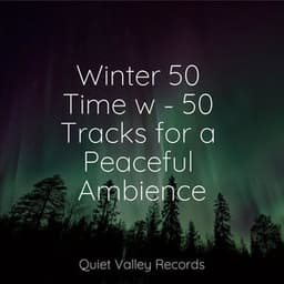 Winter 50 Time w - 50 Tracks for a Peaceful Ambience - 125 Nature Sounds