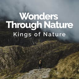 Wonders Through Nature - Kings of Nature