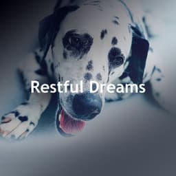 Restful Dreams - Puppy Sleep