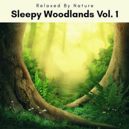 2022 Sleepy Woodlands Vol. 1 - Natural Woodland Sounds
