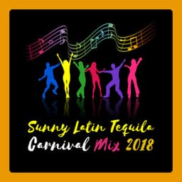 Sunny Latin Tequila Carnival Mix 2018 - Refreshing Mojito, Hot Twerking, Havana Rhythms - Bossa Nova Vibes Lounge