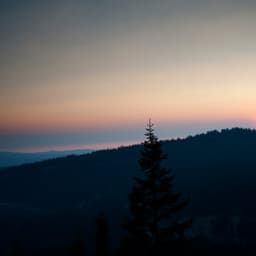 chilling in tranquility - Heavenly Realms