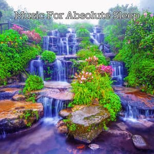 Absolute Sleep Journey - Sleepy Night Music