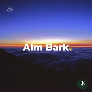 Stillness Beyond Time - Big Ordo